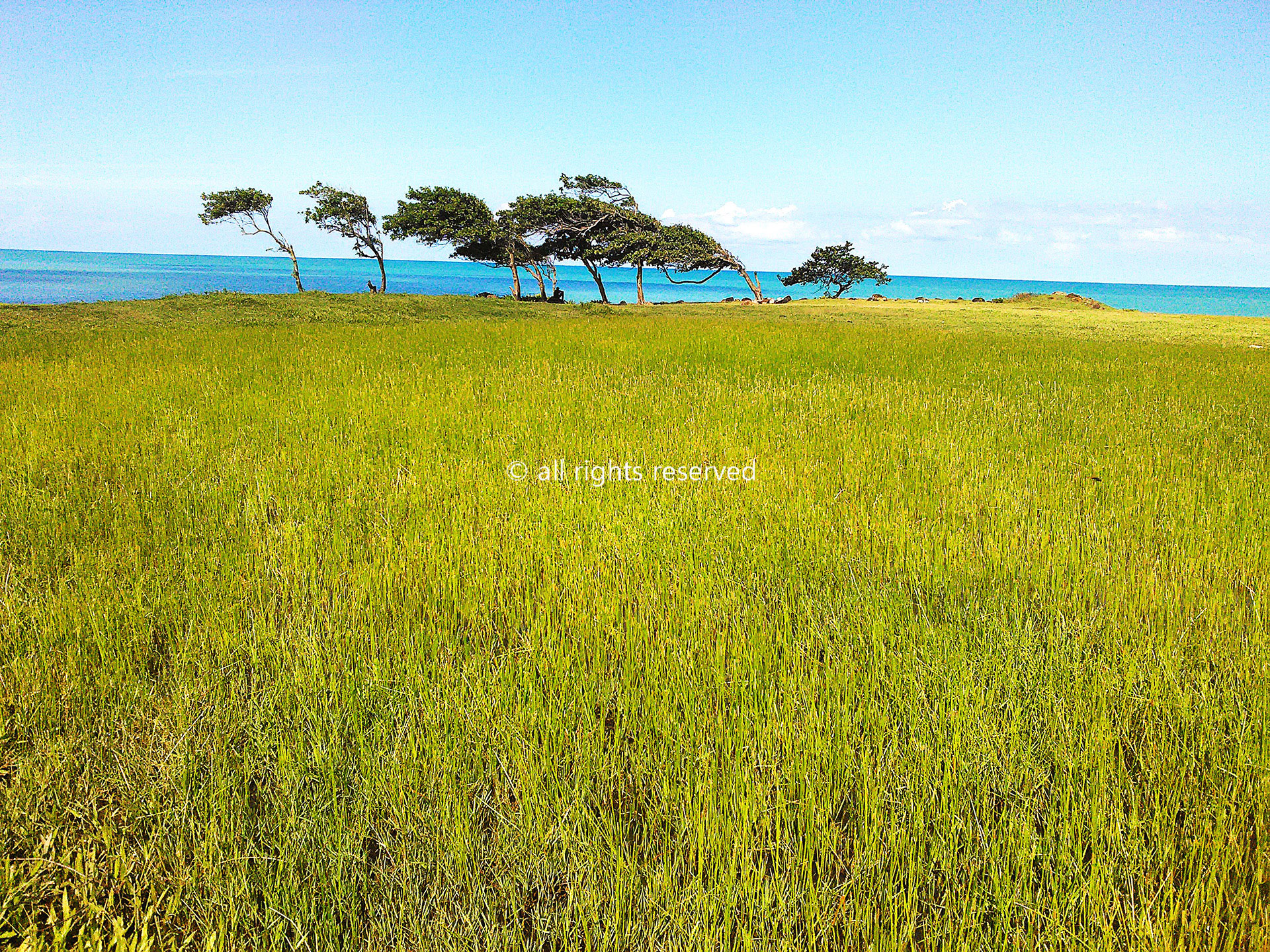 Free HTML5 Template by FREEHTML5.co